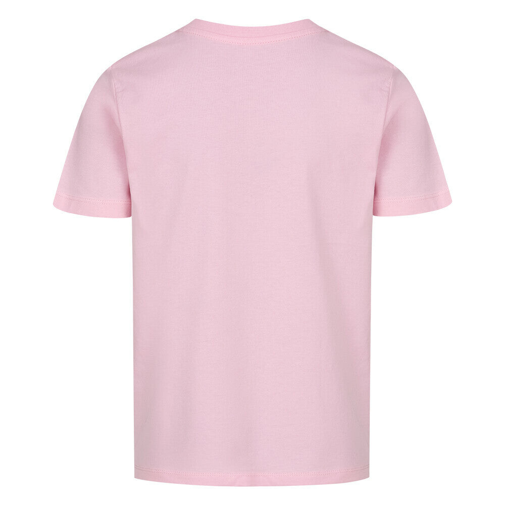 Image for color: rose